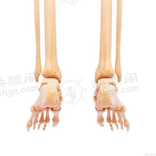 收费与价格原则说明