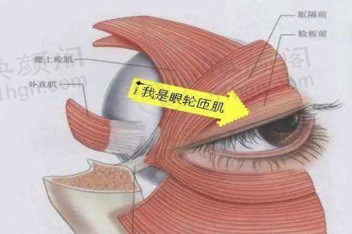 上海雅丰医疗美容医院