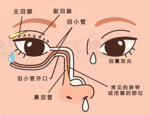 设备环境介绍